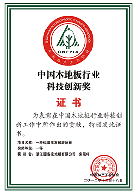 科技創新一等獎